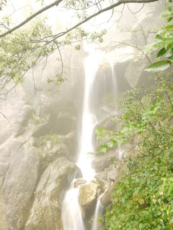 湖南芦淞服饰产业发展有限公司全体员工赴江西开展考察学习活动