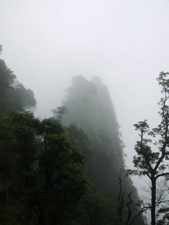 湖南芦淞服饰产业发展有限公司全体员工赴江西开展考察学习活动