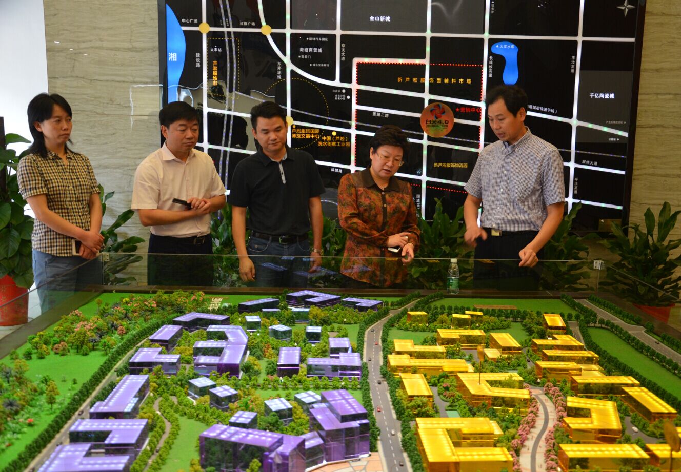 彭爱华率省党代表调研新芦淞（白关）国际服饰产业园