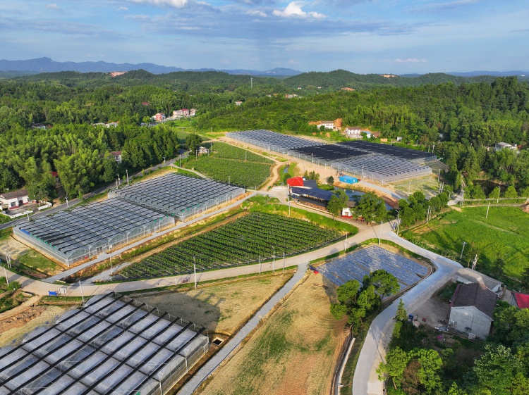 1750232996523438.jpeg 5.jpeg